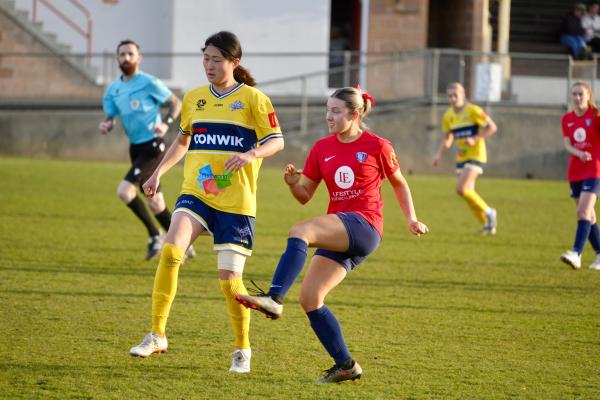 South Hobart & Devonport Strikers Players to the ball
