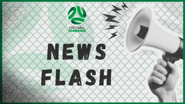 Hand holding a loudhailer and the words news flash